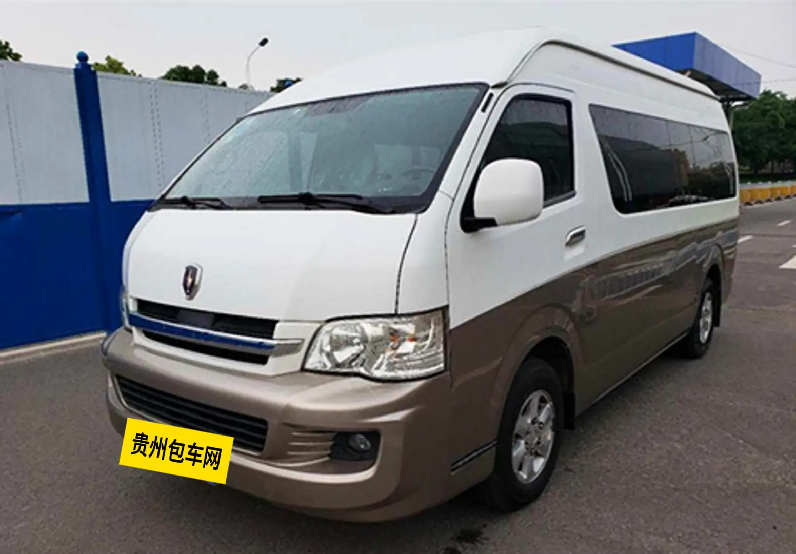 金杯海狮